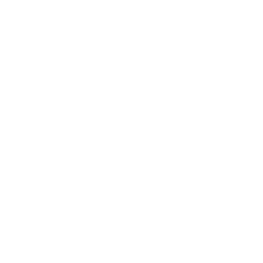 Main Strategic Objectives
